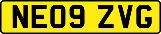 NE09ZVG