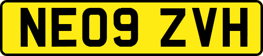 NE09ZVH