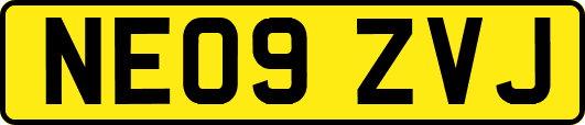 NE09ZVJ
