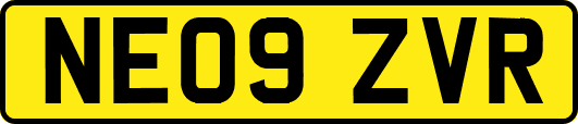 NE09ZVR