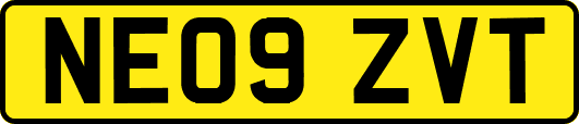 NE09ZVT