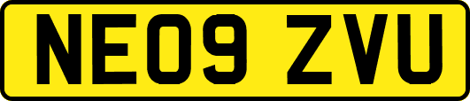 NE09ZVU