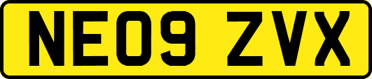 NE09ZVX