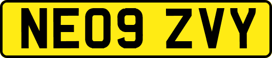 NE09ZVY