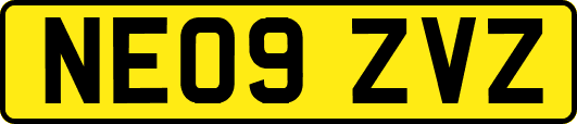 NE09ZVZ
