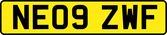 NE09ZWF