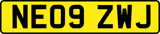NE09ZWJ