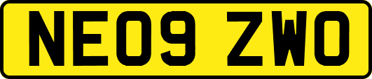 NE09ZWO