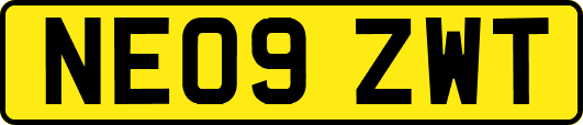 NE09ZWT