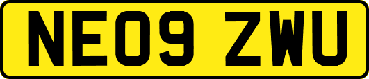 NE09ZWU