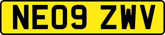 NE09ZWV