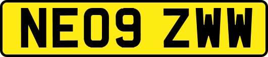 NE09ZWW
