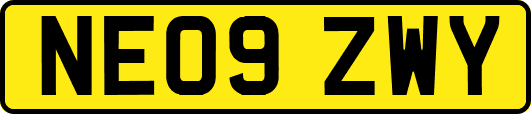 NE09ZWY