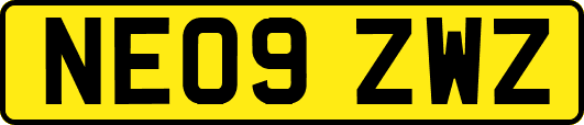 NE09ZWZ