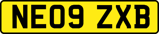 NE09ZXB