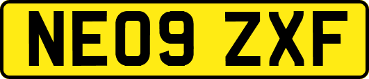 NE09ZXF
