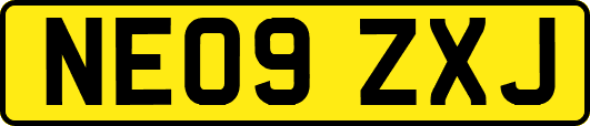 NE09ZXJ