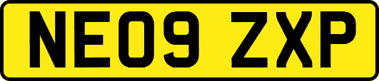NE09ZXP