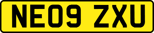 NE09ZXU