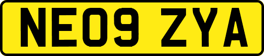 NE09ZYA