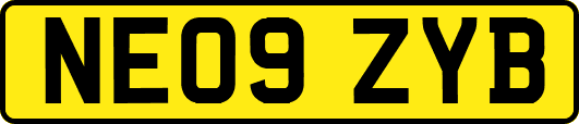 NE09ZYB