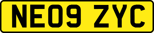 NE09ZYC