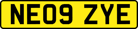 NE09ZYE