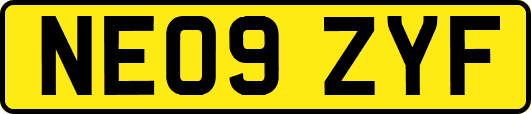 NE09ZYF