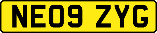 NE09ZYG