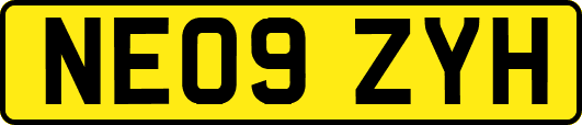 NE09ZYH