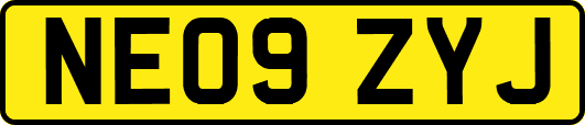 NE09ZYJ