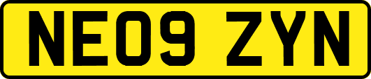 NE09ZYN