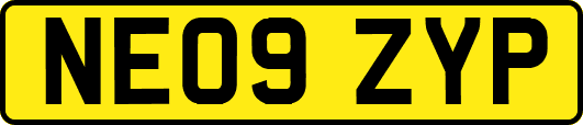 NE09ZYP