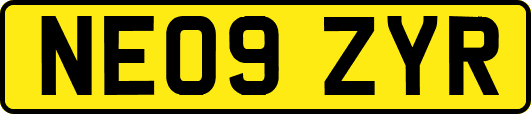 NE09ZYR