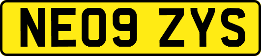 NE09ZYS