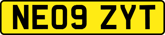 NE09ZYT