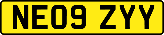 NE09ZYY
