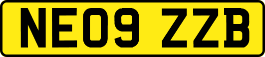 NE09ZZB