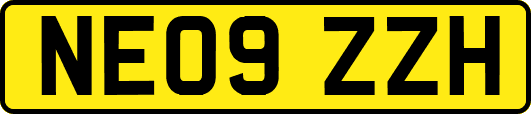 NE09ZZH