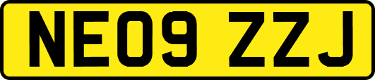 NE09ZZJ