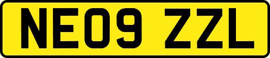 NE09ZZL