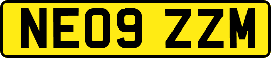 NE09ZZM