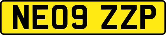 NE09ZZP