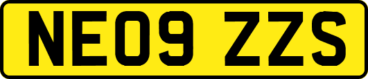NE09ZZS