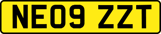 NE09ZZT