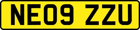 NE09ZZU