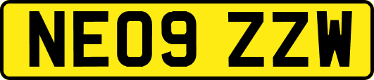 NE09ZZW