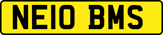 NE10BMS