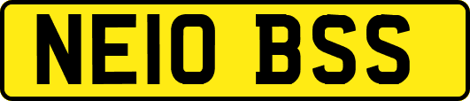 NE10BSS