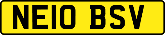 NE10BSV